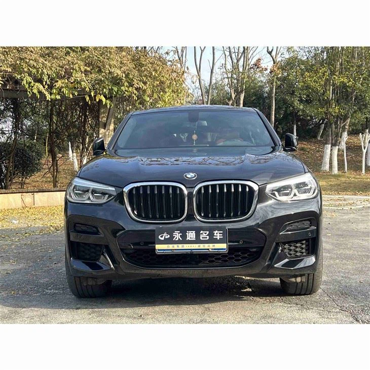 Used BMW X4 2020 Model xDrive25i M Sport Package suppliers
